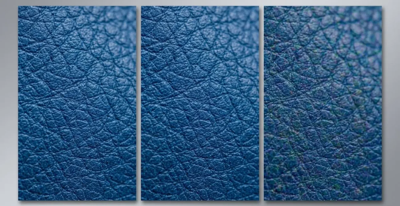 Comparaison visuelle de la même image avec différents niveaux de compression montrant la qualité et le poids